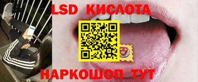 стафф Партизанск