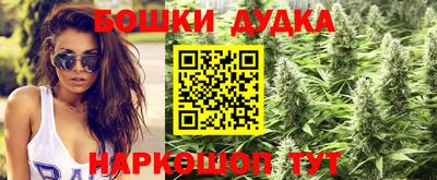 гидропоника Пыть-Ях