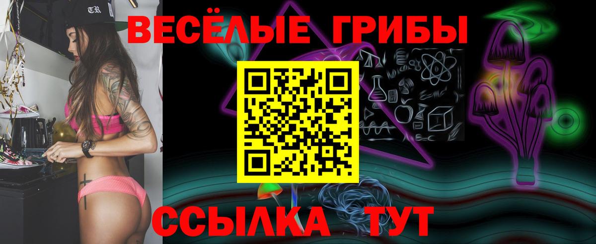 Сокол  Псилоцибиновые грибы прущие грибы  Псилоцибиновые грибы мухоморы  Вход с VPN 